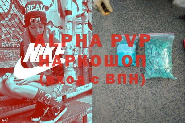ГАЛЛЮЦИНОГЕННЫЕ ГРИБЫ Бородино