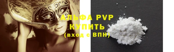 ГАЛЛЮЦИНОГЕННЫЕ ГРИБЫ Бородино