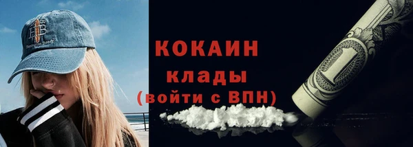 ГАЛЛЮЦИНОГЕННЫЕ ГРИБЫ Бородино