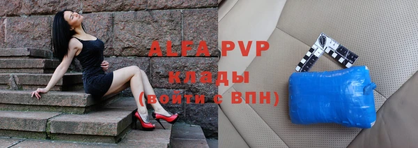 ГАЛЛЮЦИНОГЕННЫЕ ГРИБЫ Бородино