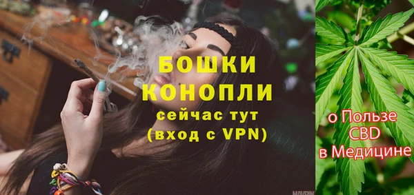 ГАЛЛЮЦИНОГЕННЫЕ ГРИБЫ Бородино