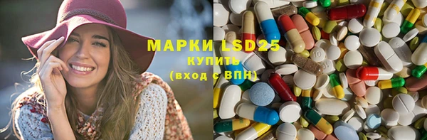 ГАЛЛЮЦИНОГЕННЫЕ ГРИБЫ Бородино