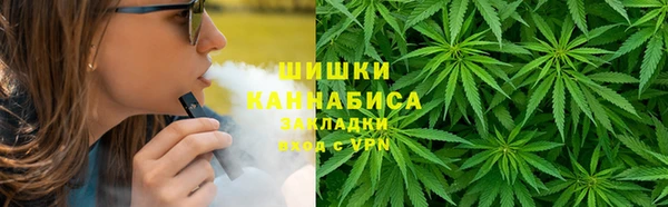 соль ск Бронницы
